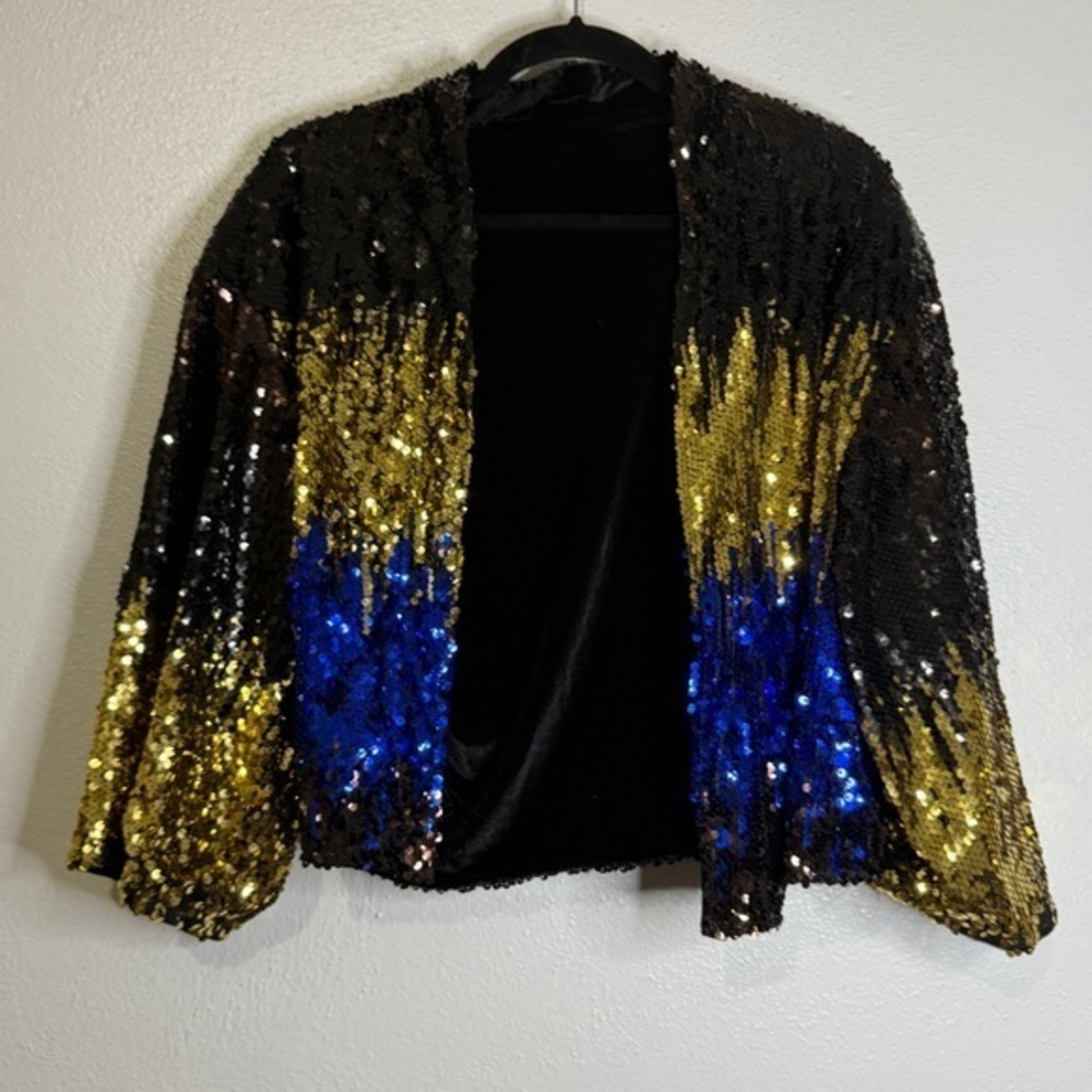 Unbranded Reversible. Side 1: Sequins, Black, Gold, Blue. Side 2: Black Velvet.